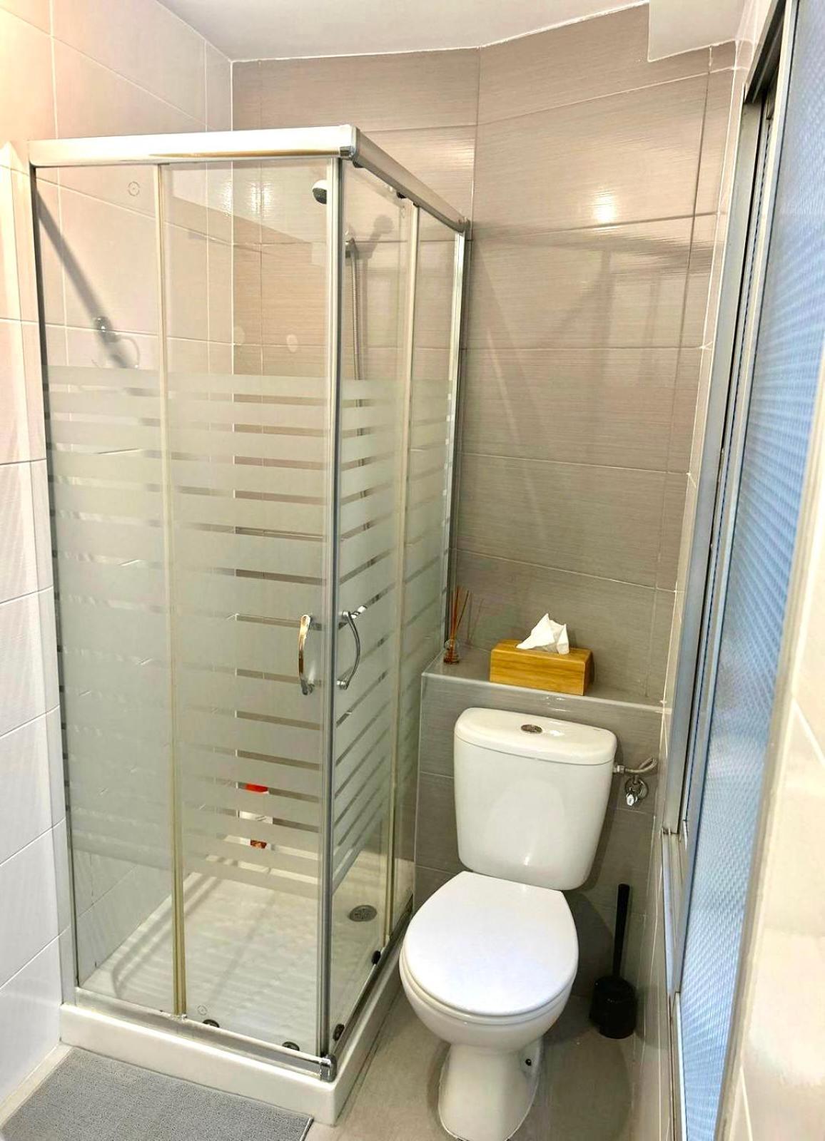 Apartment Pelayo Gijon
